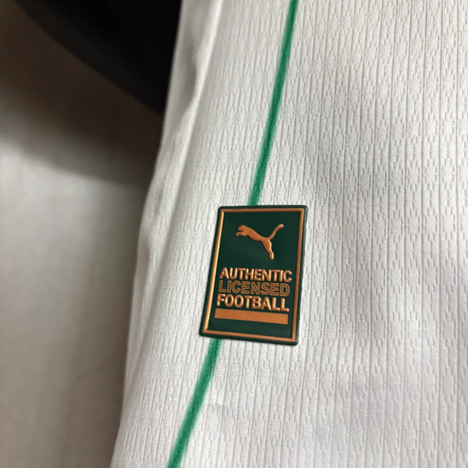 Camisa Palmeiras 26/27 Jogador Fora — Palmeiras (foto 4)