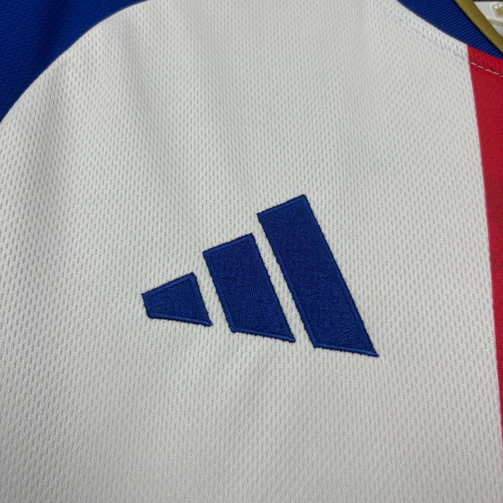 Camisa Lyon 26/27 Torcedor Casa — Lyon (foto 3)
